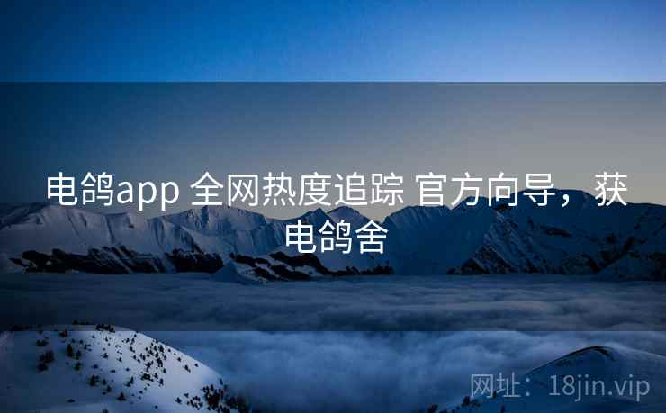 电鸽app 全网热度追踪 官方向导，获电鸽舍
