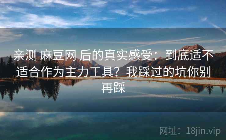 亲测 麻豆网 后的真实感受：到底适不适合作为主力工具？我踩过的坑你别再踩