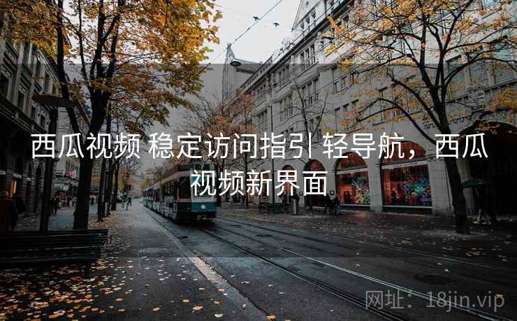 西瓜视频 稳定访问指引 轻导航，西瓜视频新界面