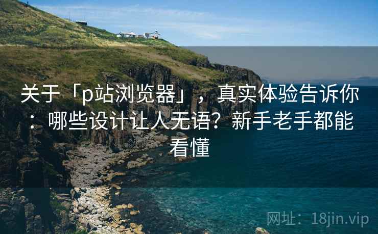 关于「p站浏览器」，真实体验告诉你：哪些设计让人无语？新手老手都能看懂