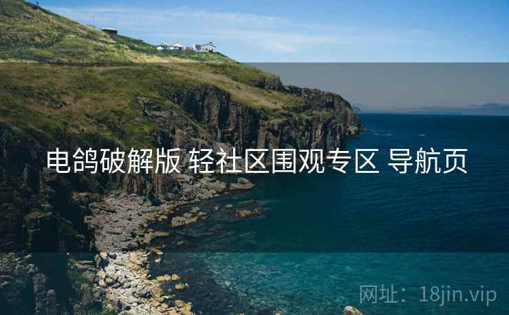 电鸽破解版 轻社区围观专区 导航页