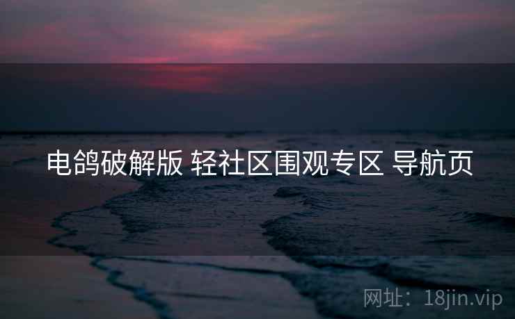 电鸽破解版 轻社区围观专区 导航页