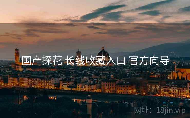 国产探花 长线收藏入口 官方向导