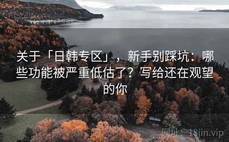 关于「日韩专区」，新手别踩坑：哪些功能被严重低估了？写给还在观望的你