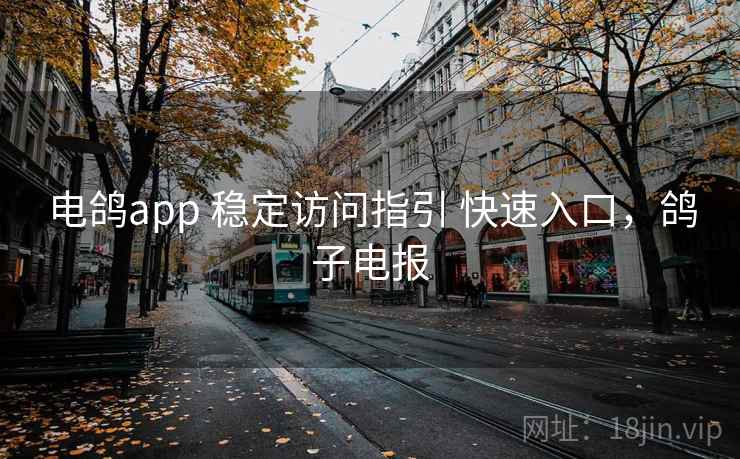 电鸽app 稳定访问指引 快速入口，鸽子电报