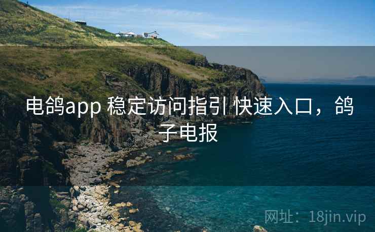 电鸽app 稳定访问指引 快速入口，鸽子电报